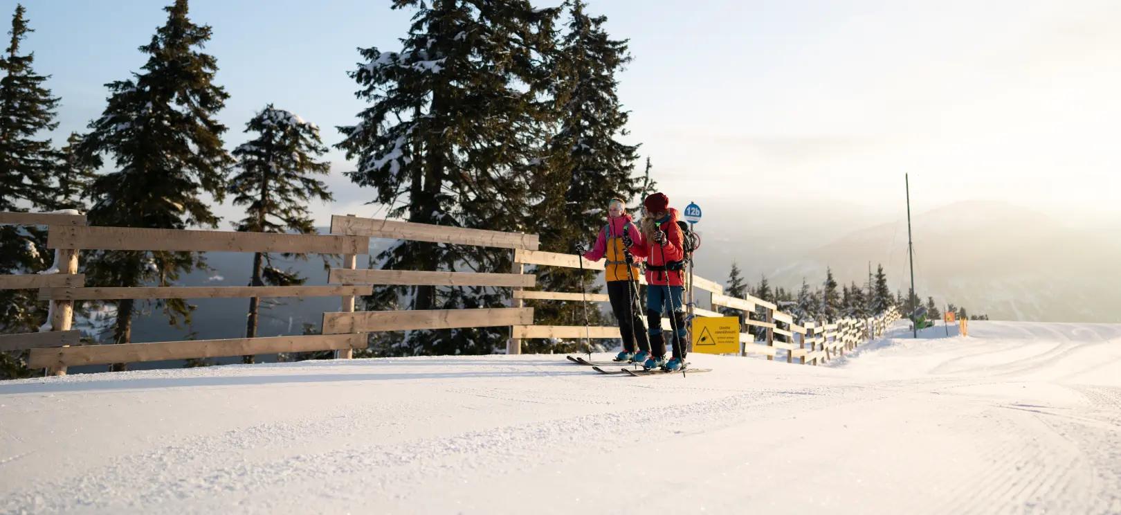winter sports