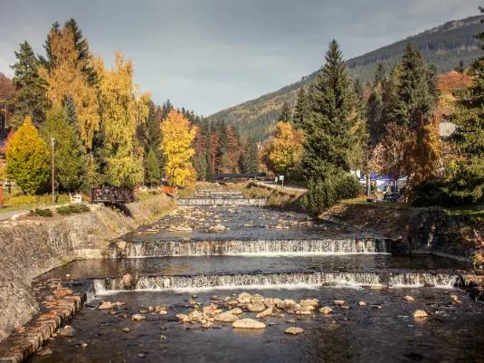 Colorful autumn is here!