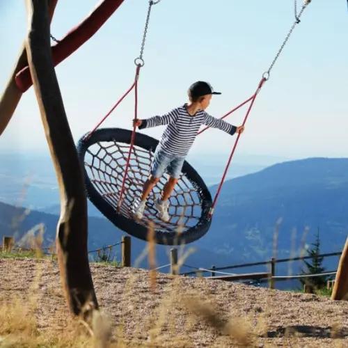 Cycle path for children | Ride for animals