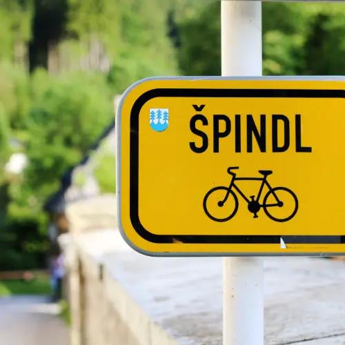 Cycle path for children | Ride for animals - extended