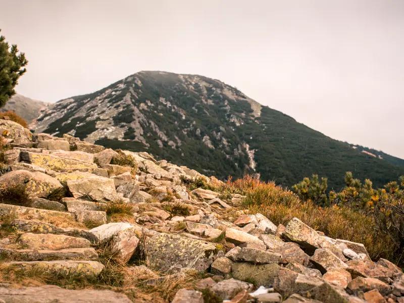 Hřebenová túra | Špindlerův Mlýn - Kozí hřbety - Sněžka