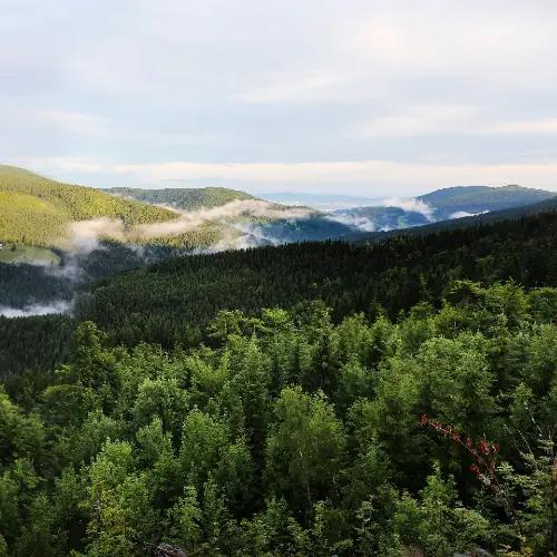 Mountain hike | Špindlerův Mlýn - Vrchlabí - Žalý - Špindlerův Mlýn
