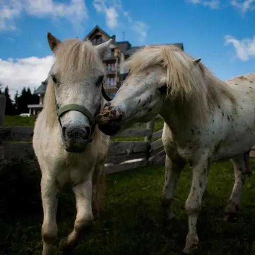 activities-outdoor-indoor