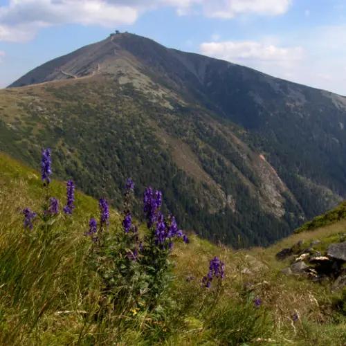 Cable car to Sněžka