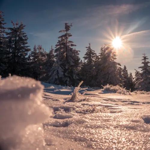 From Martinova bouda to Labská bouda and back