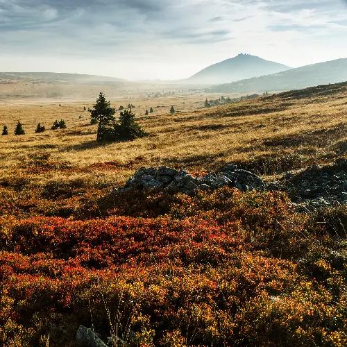 Top 10 summer activities in Špindlerův Mlýn