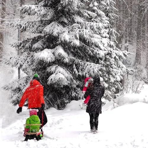 winter-activities-for-children