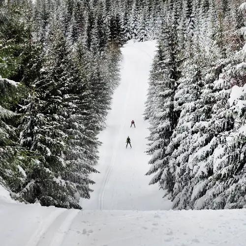 Racing circuits of Horní Mísečky