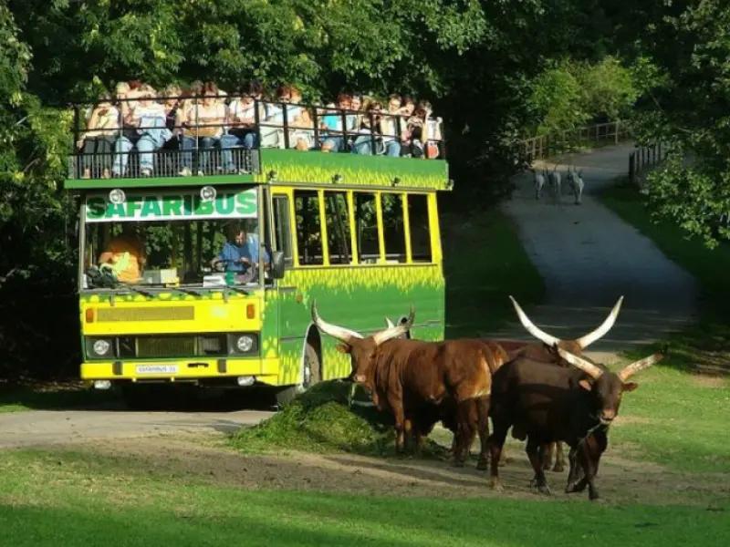 ZOO and Safari Park Dvůr Králové nad Labem