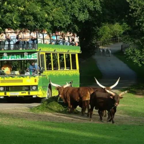 what-to-do-when-breasts