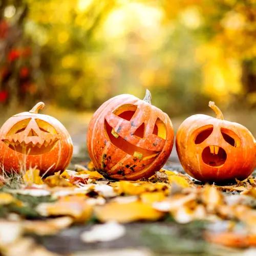 Halloween on Medvědín