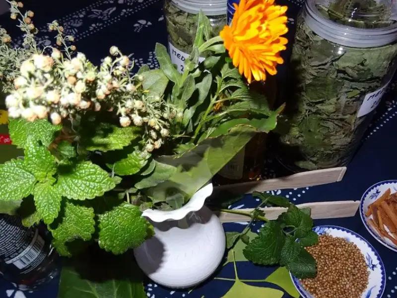 Chat with the hotelier