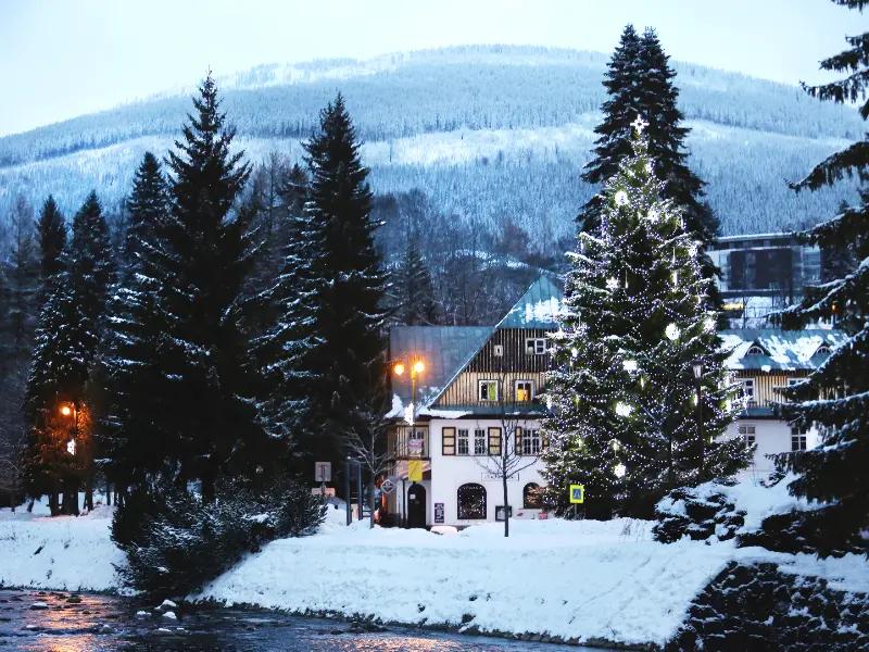 Lighting the Christmas tree