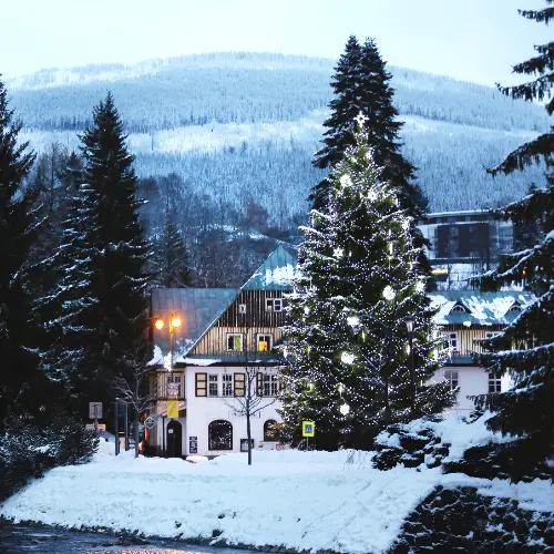 Lighting the Christmas tree