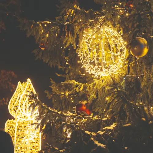 Lighting the Christmas tree